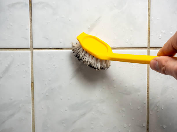 Best Office Mold Removal Services  in Overland Park, KS