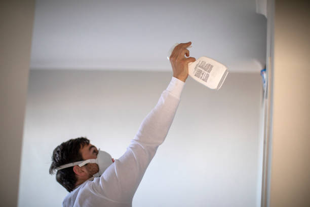 Best Mold Removal Company Near Me  in Overland Park, KS