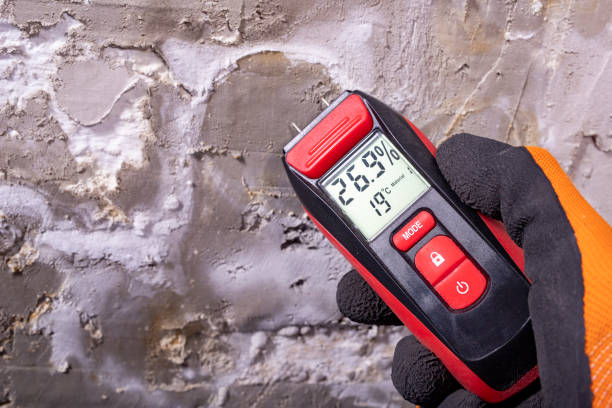 Best Commercial Mold Removal  in Overland Park, KS