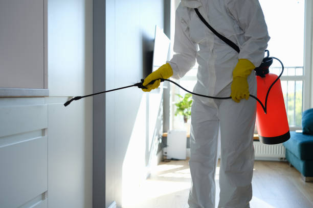 Best Toxic Mold Removal  in Overland Park, KS