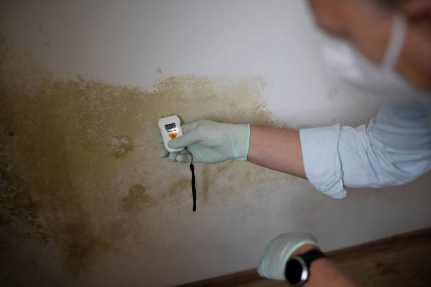 Best Mold Testing  in Overland Park, KS