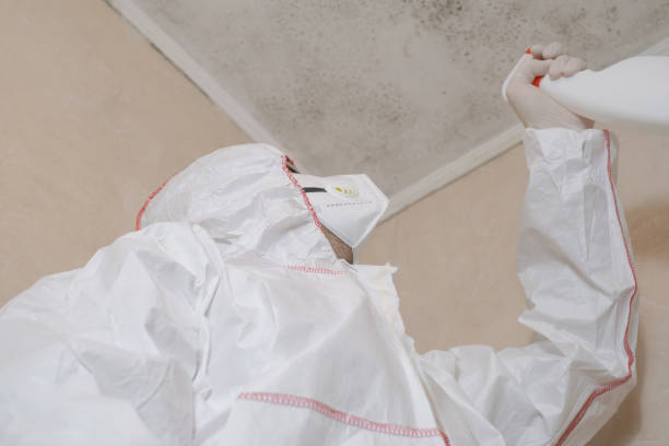 Best Crawl Space Mold Removal  in Overland Park, KS