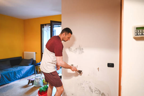 Best Local Mold Removal Service  in Overland Park, KS