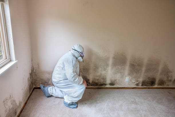 Best Certified Mold Removal  in Overland Park, KS