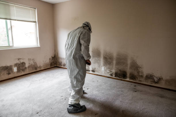 Overland Park, KS Mold Removal Company