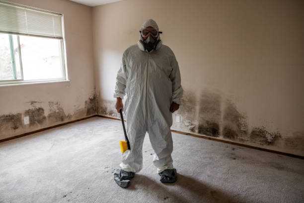 Best Home Mold Removal  in Overland Park, KS